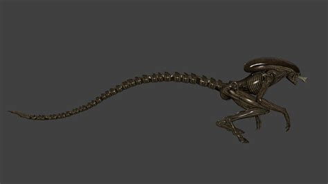 [Blender 2.77] Xenomorph Runner by MrGodzilla445 on DeviantArt