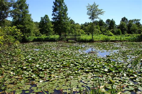 Kenilworth Aquatic Gardens Bridge | General view of one of t… | Flickr