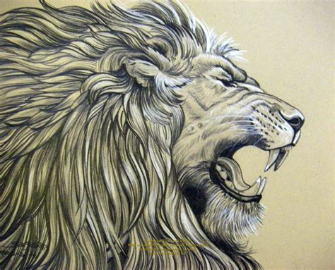 realistic-lion-drawing-pencil-drawings-of-jesus-lion-roar-houseofchabrier.jpg (1024×829) | Lion ...