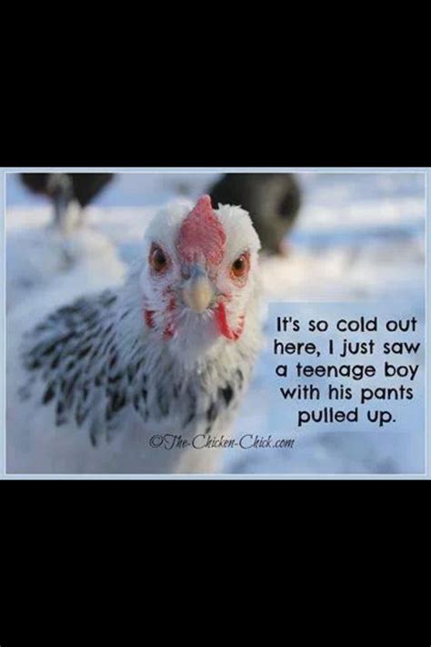 Cold Weather Funny Quotes. QuotesGram