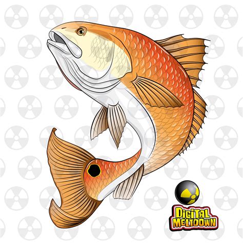 Redfish Clipart Preview Redfish Fish Vect Hdclipartall Emoji Fish | The ...