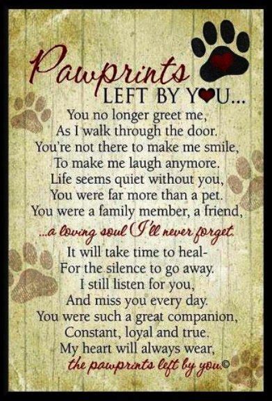 Pet loss poems