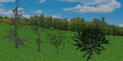 Tree Sample 3D Model $15 - .fbx .max - Free3D