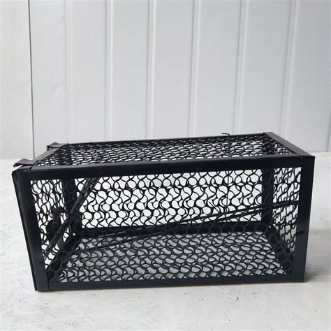 Long Life Metal Mouse Trap Wire Mesh Box Rat Trap Cage - China Mouse ...