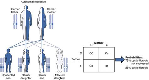 What is the Difference Between Monogenic and Polygenic Inheritance ...