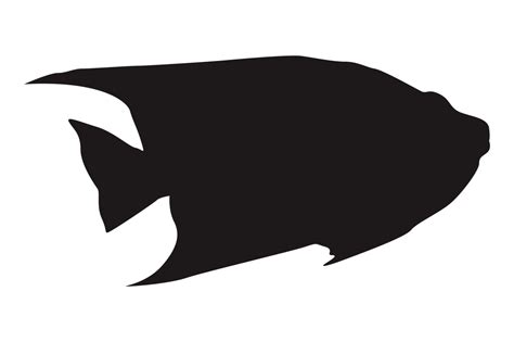 Sea Fish Silhouette On Transparent Background 23630208 PNG