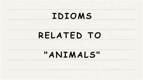 23 English Idioms Related to Animals - English365plus.com