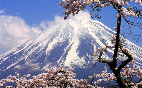 Mount Fuji HD Wallpapers - Wallpaper Cave