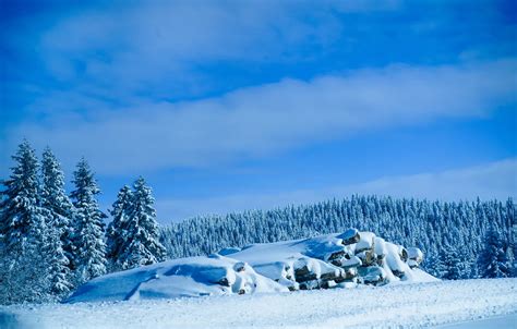 Wallpaper landscape, nature, wood, winter, snow, serbia, Kopaonik images for desktop, section ...