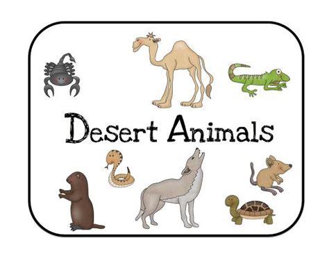 desert animal habitats printable worksheets - - Image Search Results | Desert animals, Desert ...