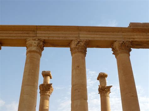 Palmyra in Ruins