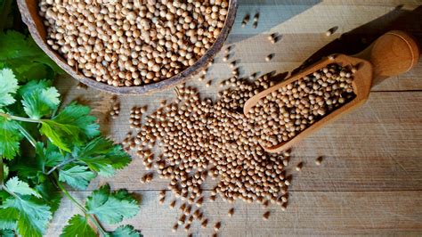 Delicious Ways To Use Coriander Seeds In Your Cooking