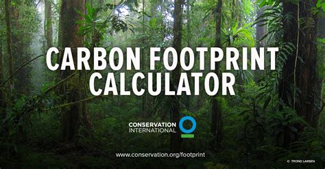 Carbon Footprint Calculator