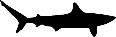 Cute Shark Silhouette SVG