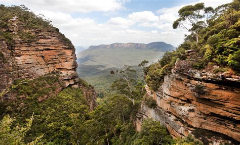 Blue Mountains Deluxe Experience Shore Excursion in Sydney