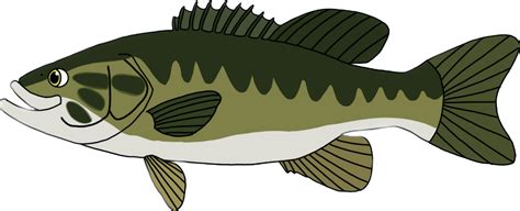 Bass Fish Silhouette Stock Illustrations – 2,804 Bass Fish - Clip Art ...