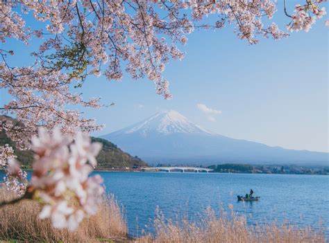 日本旅游图片,日本自助游图片,日本旅游景点照片 - 马蜂窝图库 - 马蜂窝