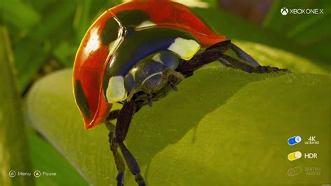 Insects: An Xbox One X Enhanced Experience - Insects - Xbox One X - 4K ...