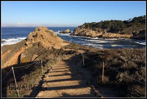 A Must Visit: Point Lobos State Natural Reserve California - Travel With Sara