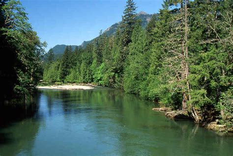 Cowlitz & Cispus Rivers – Packwood Visitor Center