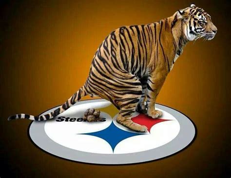 Bengals>Steelers | Cincinnati bengals, Bengals vs steelers, Cincinnati