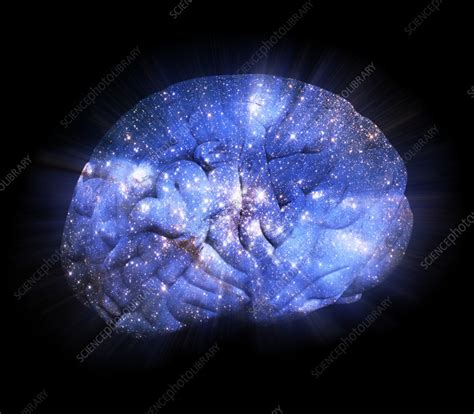 Boltzmann brain, conceptual image - Stock Image - F037/2694 - Science Photo Library