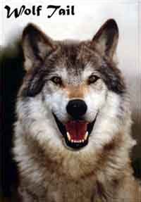 Wolf Tail - WikiFur, the furry encyclopedia