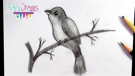 Cómo dibujar un AVE con LÁPIZ - How to draw a BIRD with PENCIL - YouTube