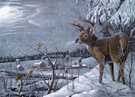 Free Deer Wallpapers - Wallpaper Cave