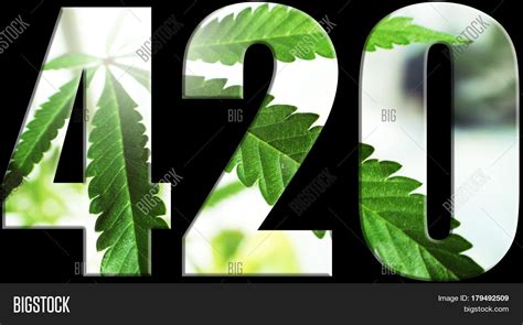 Marijuana 420 Logo Image & Photo (Free Trial) | Bigstock