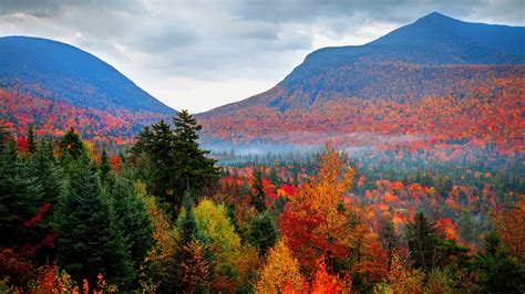 White Mountain National Forest | New Hampshire