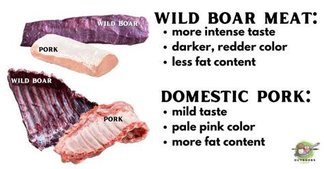 Wild Boar Meat Vs Domestic Pork - OutdoorsChef