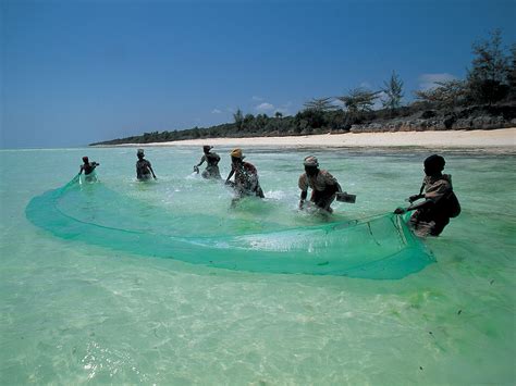 History and Culture of Zanzibar - Gallery Tours & Safaris