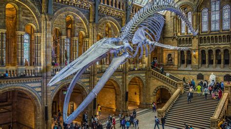 The Science Museum And The Natural History Museum Had A Hilarious Fight On Twitter | IFLScience