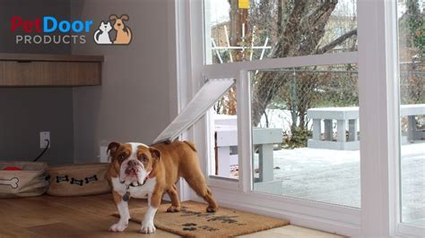 Stop Dog Scratching Sliding Glass Door - Glass Door Ideas