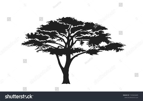 African Tree Silhouette