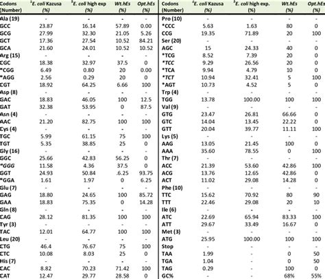 e coli codon usage table | Brokeasshome.com