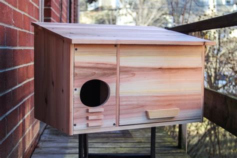 Barn Owl Eco Box / Barn Owl Bird House / Barn Owl Nesting Box | Etsy | Bird house, Owl nesting ...