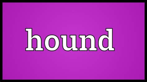 Hound Meaning - YouTube