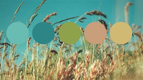 Сolor schemes, palette, combinations (ksenia198120007) - Profile | Pinterest