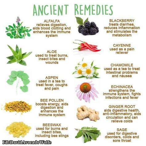 Ancient remedies | Herbalism, Natural health remedies, Herbs for health