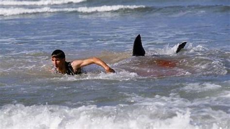 New Jersey Shark Attacks of 1916 | HubPages