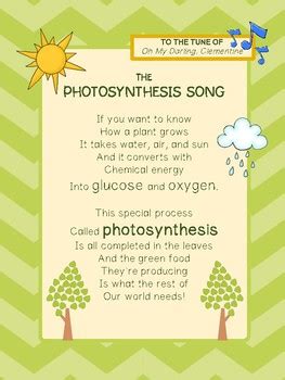 Photosynthesis Song! by Primary Produce for Your Classroom | TPT