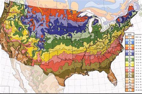 usda-hardiness-zones-map | Everything Backyard