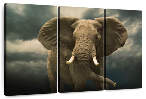 Male Elephant Wall Art | Photography