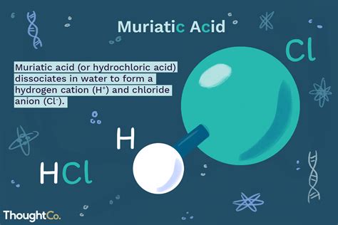 What Is Muriatic Acid? Facts and Uses