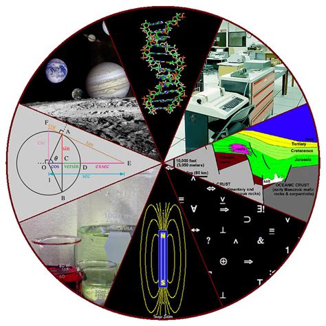 Evolutionary Biology: What Are Some Of The Fields Of Science To