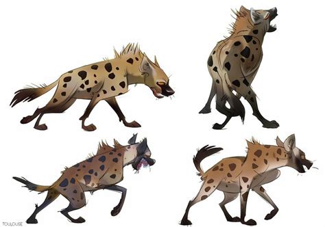 Four Types of Spotted Hyenas Running