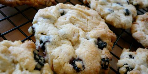 Wild Blueberry Recipes