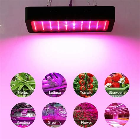 LED Grow Light 300W Grow Lighting Full Spectrum for Greenhouse Hydroponic Indoor Plants Veg and ...